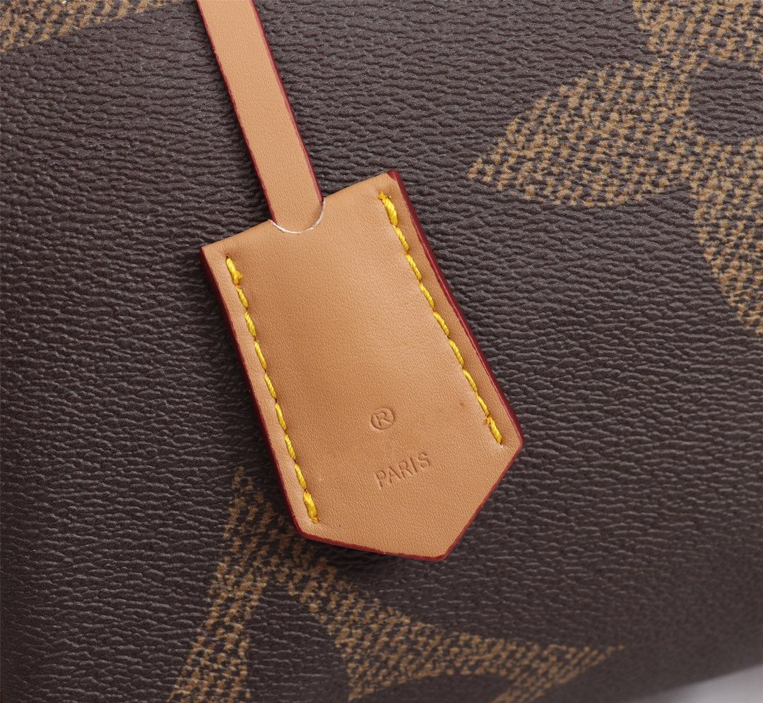 Speedy Bandoulière 25 Giant Monogram Canvas