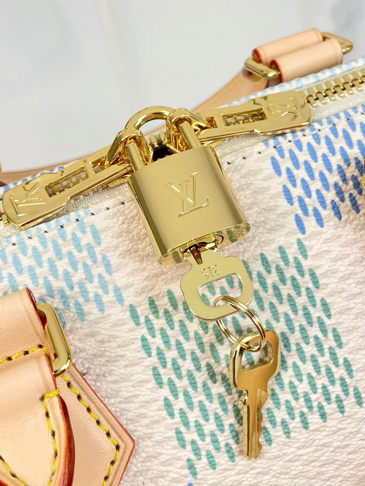 Speedy Bandoulière 20 in Pistachio Damier Giant Canvas Gold Hardware