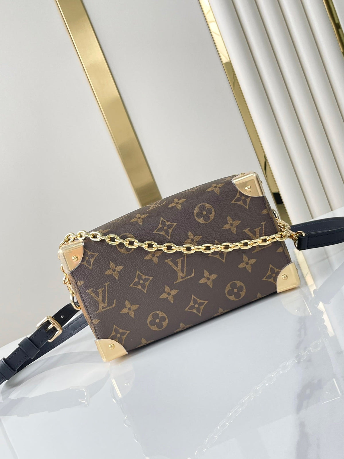 Speedy Trunk 20 in Brown Monogram Canvas and Black Calfskin Trim Gold Buckle