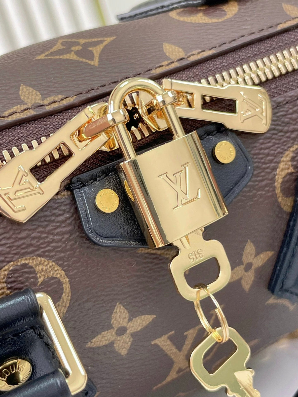 Speedy Trunk 20 in Brown Monogram Canvas and Black Calfskin Trim Gold Buckle