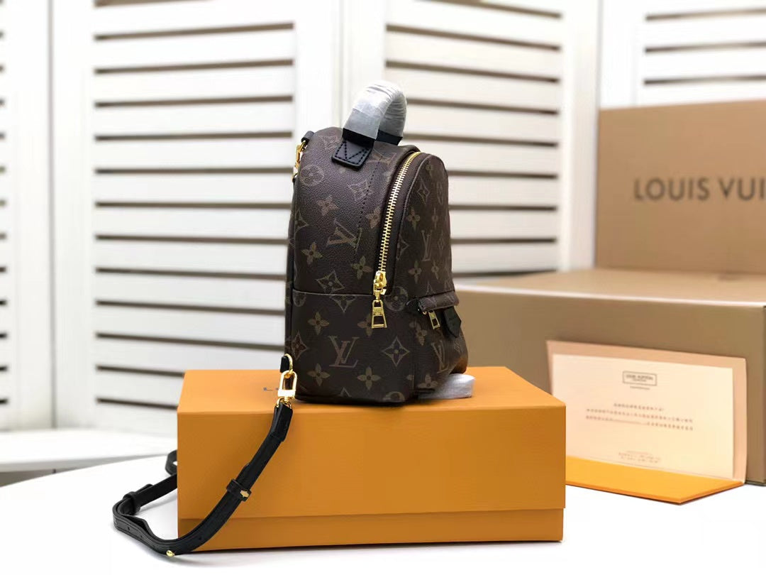 Louis Vuitton Palm Springs Mini Backpack Bag 22cm Monogram Canvas Spring/Summer Collection, Brown – product image 2