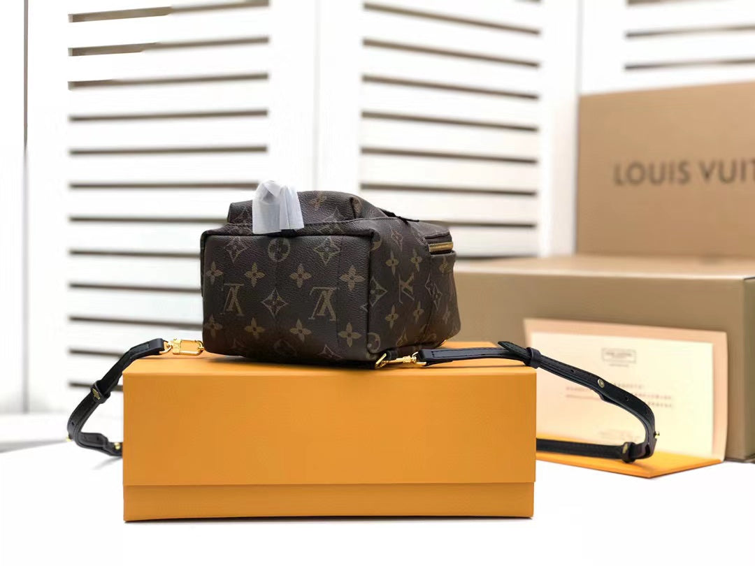 Louis Vuitton Palm Springs Mini Backpack Bag 22cm Monogram Canvas Spring/Summer Collection, Brown – product image 3