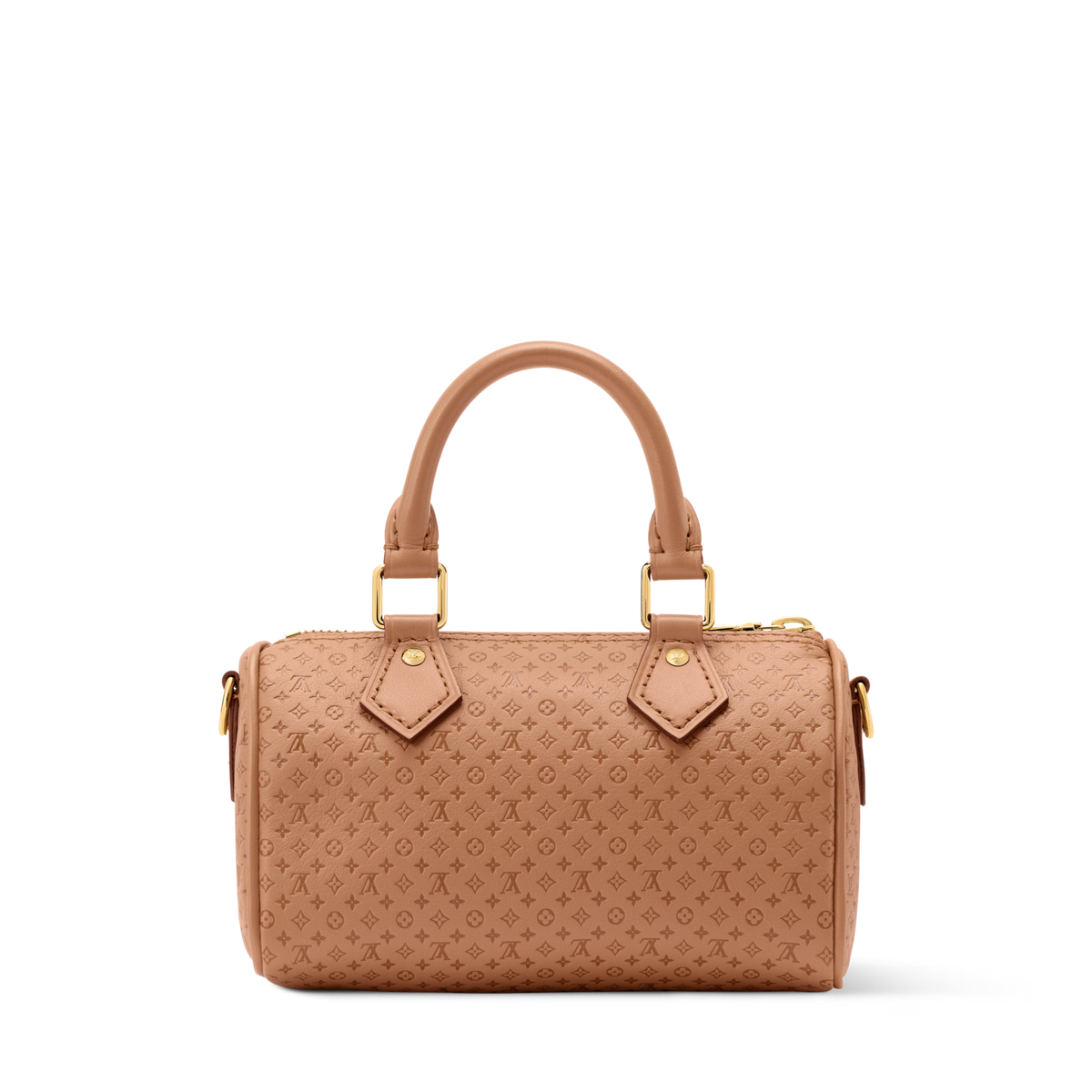 Nano Speedy Calfskin Leather Hazelnut Gold-Toned Hardware