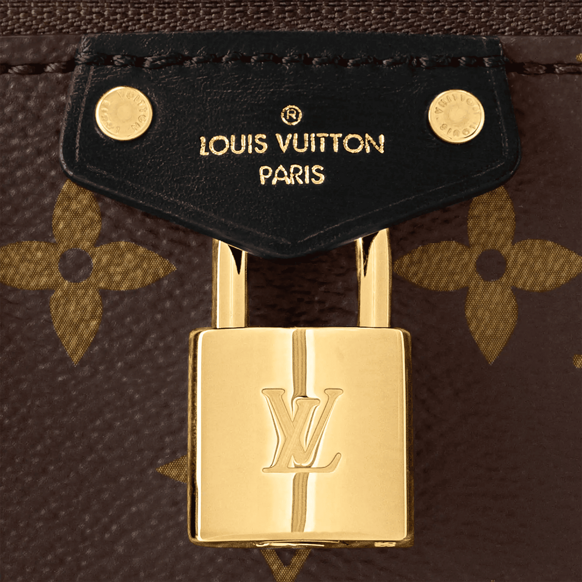 Women's Vanity Chain Pouch Monogram Coated Canvas Nano Bag M47125