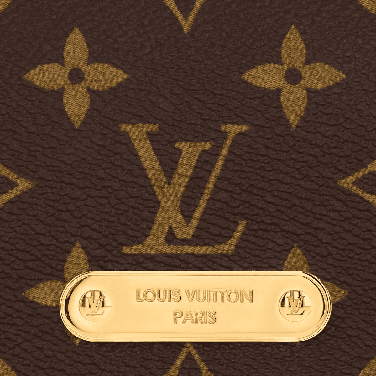 Women's Wallet On Chain Lily Monogram Coated Canvas Chain Wallet M82509