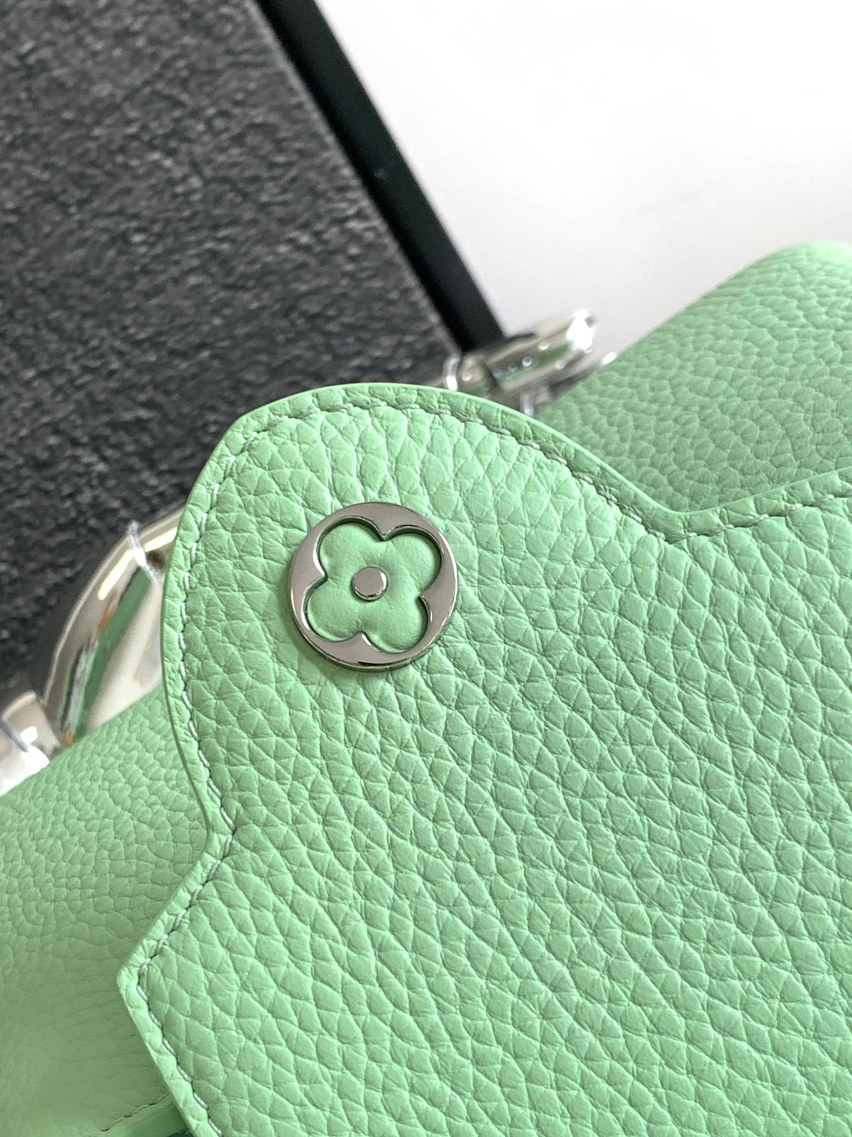 Capucines Mini 21 in Light Green Taurillon Silver Hardware
