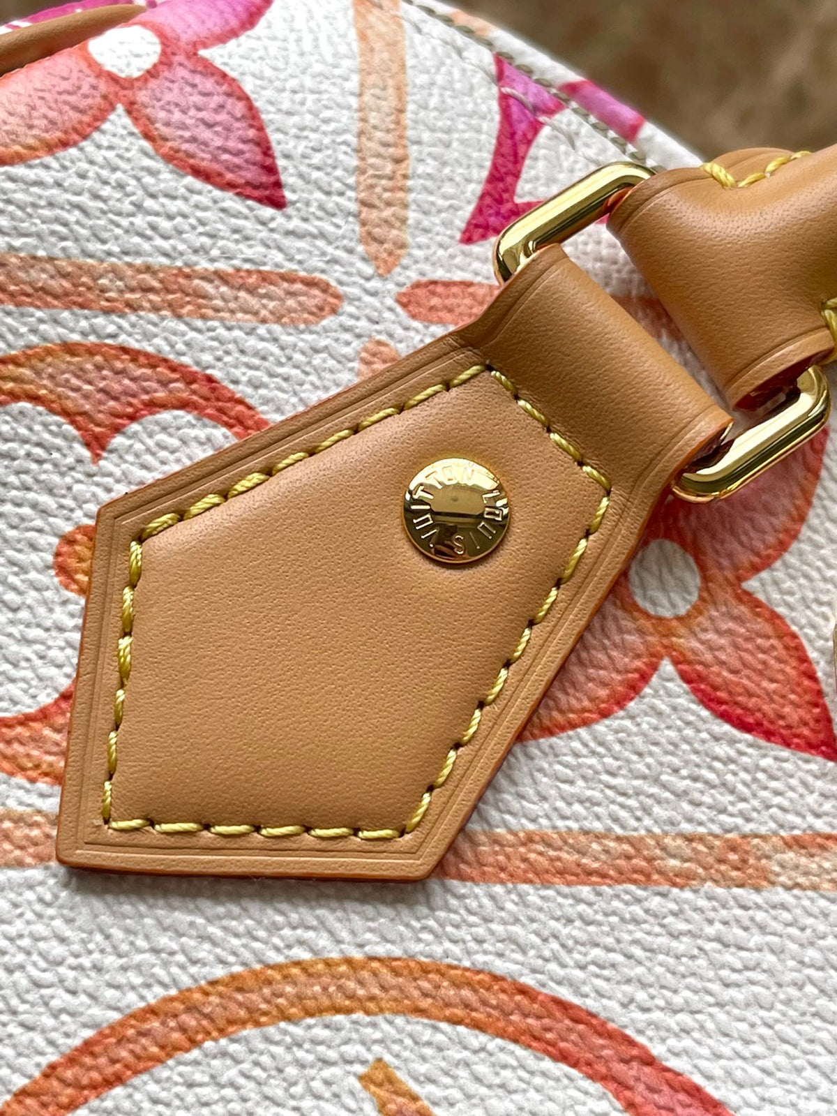 Speedy Bandoulière 20 in Coral Monogram Tiles Canvas Gold Buckle